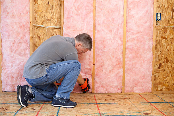 Best Basement Insulation  in Nice, CA